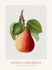 Reprodukcija Pear (Watercolour Kitchen Fruit)