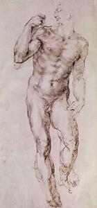Michelangelo Buonarroti - Reprodukcija umjetnosti Sketch of David with his Sling, 1503-4, (23.3 x 50 cm)