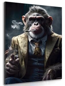 Slika životinja gangster čimpanza
