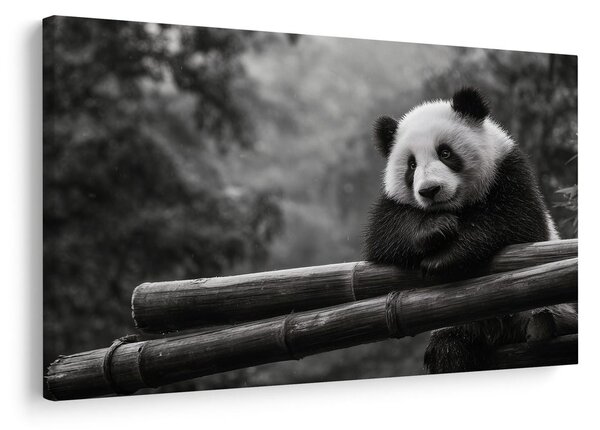 Slika panda odmara na bambusu
