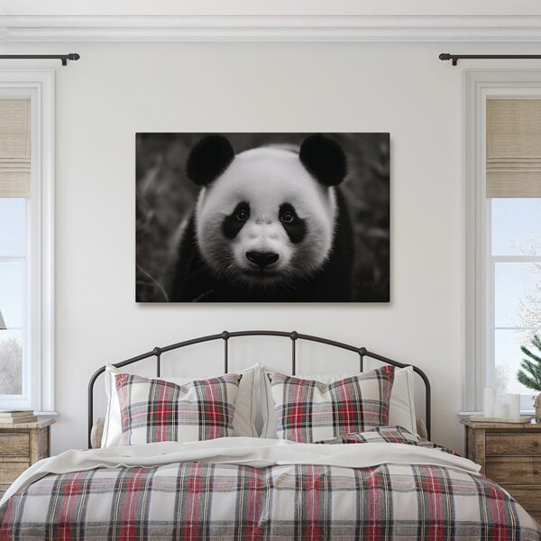 Slika slatka panda u prirodi