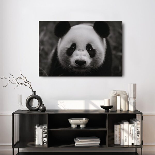 Slika slatka panda u prirodi