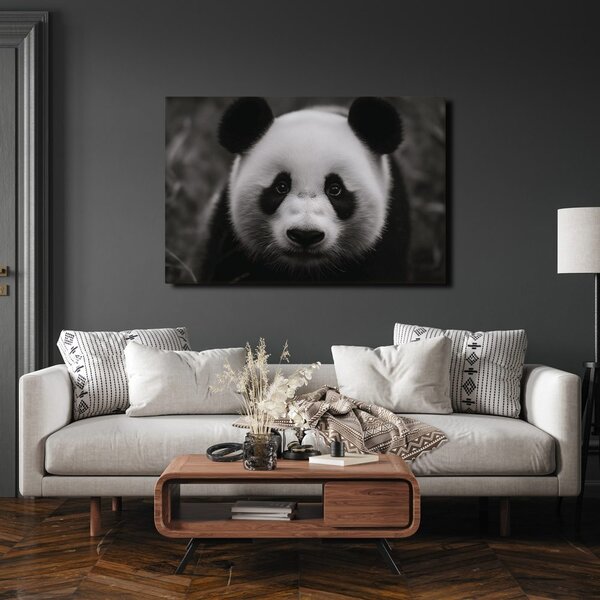 Slika slatka panda u prirodi