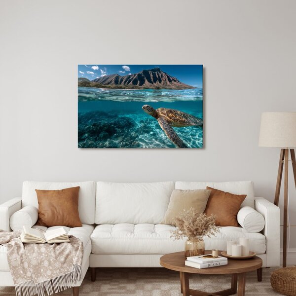 Slika morska kornjača u oceanu
