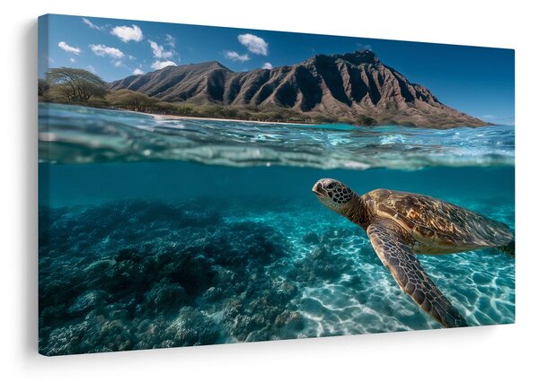 Slika morska kornjača u oceanu