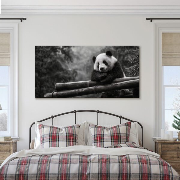 Slika mirna panda u prirodi