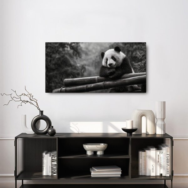 Slika mirna panda u prirodi