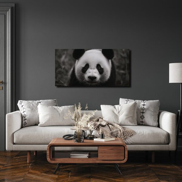 Slika crno-bijela panda s osmijehom