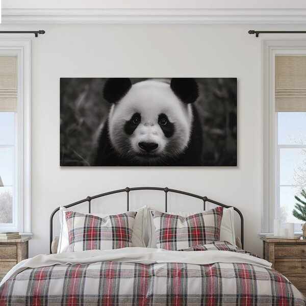 Slika crno-bijela panda s osmijehom