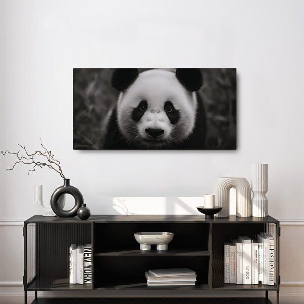 Slika crno-bijela panda s osmijehom
