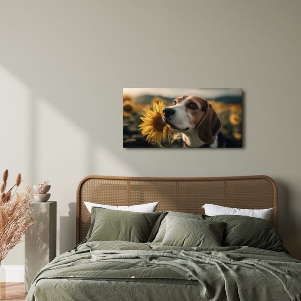 Slika beagle sa suncokretom