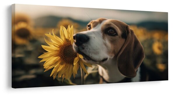 Slika beagle sa suncokretom