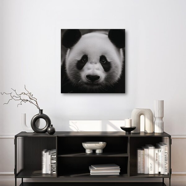 Slika panda na crnoj pozadini