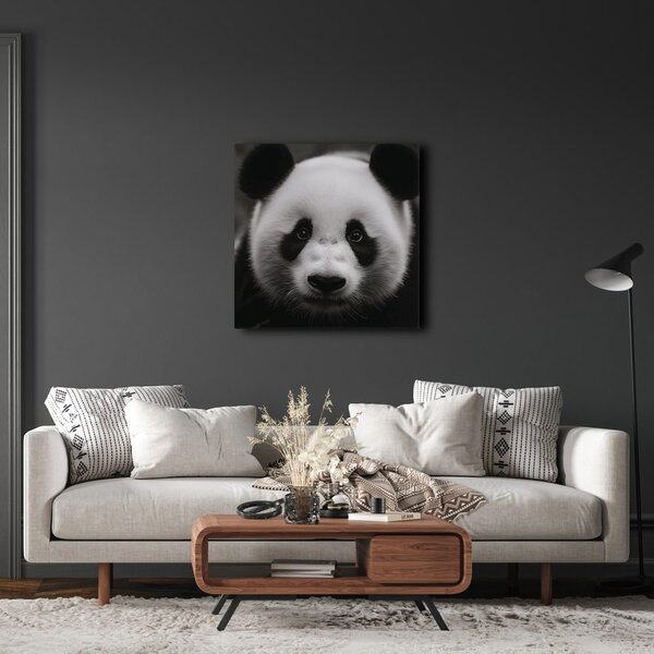 Slika panda na crnoj pozadini