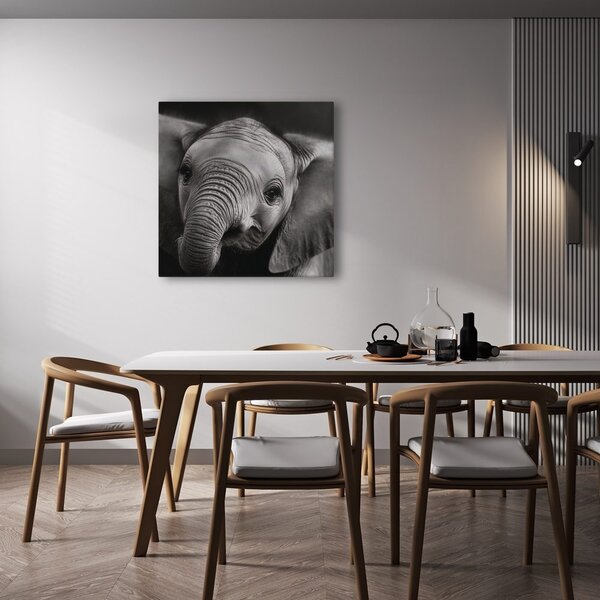 Slika crno-bijeli portret slona