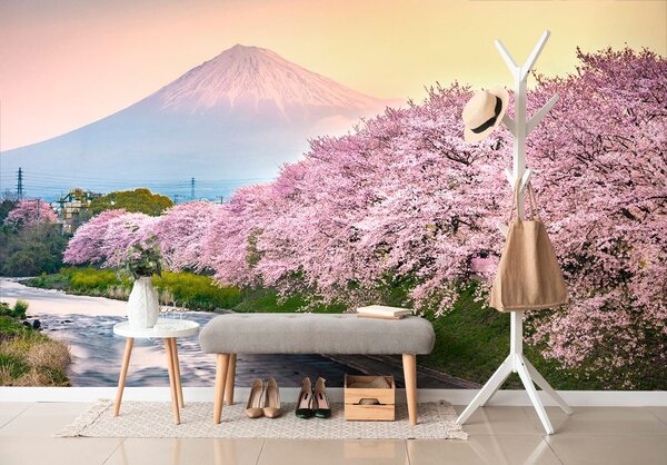 Fototapeta prekrasni Japan