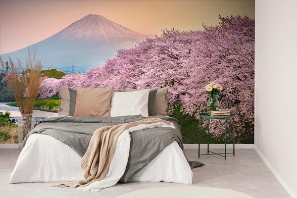 Fototapeta prekrasni Japan