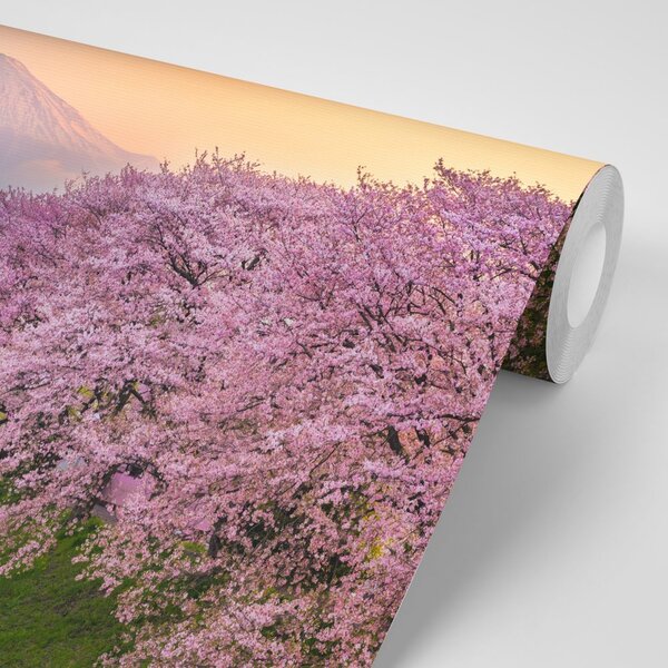 Fototapeta prekrasni Japan