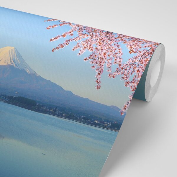 Fototapeta pogled s jezera na Fuji