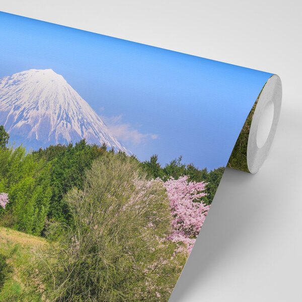 Fototapeta vulkan Fuji