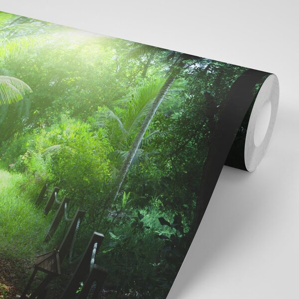 Fototapeta puteljak na Sejšelskim otocima