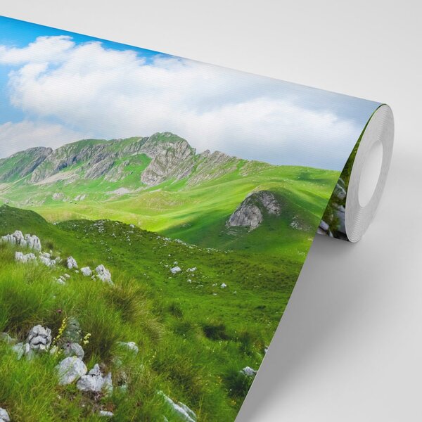Fototapeta dolina u Crnoj Gori
