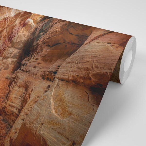 Fototapeta puteljak po Grand Canyon