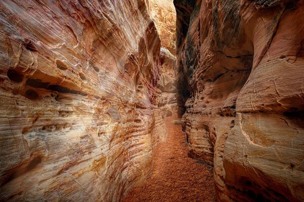 Fototapeta puteljak po Grand Canyon