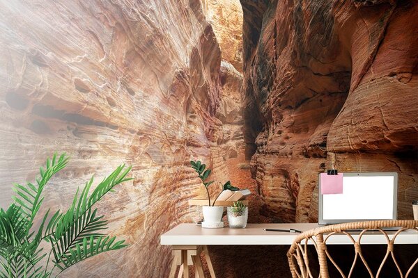 Fototapeta puteljak po Grand Canyon