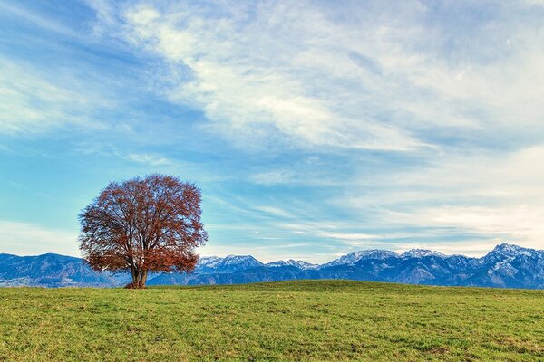 Fototapeta panorama planina