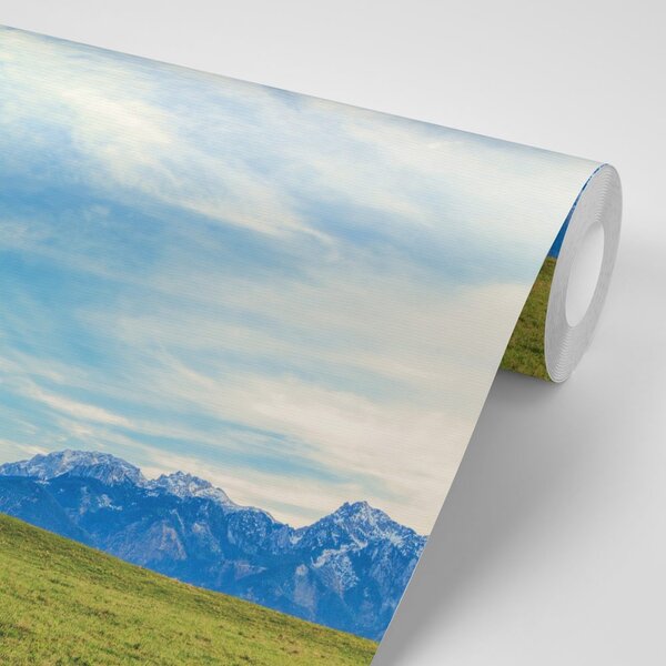 Fototapeta panorama planina