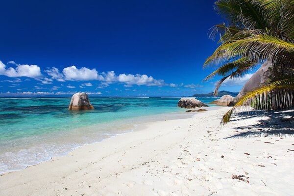 Fototapeta plaža Anse Source
