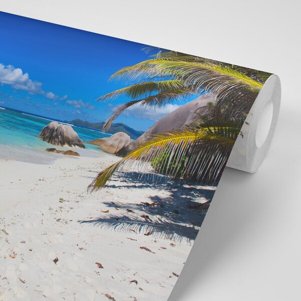 Fototapeta plaža Anse Source