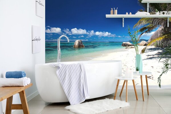 Fototapeta plaža Anse Source