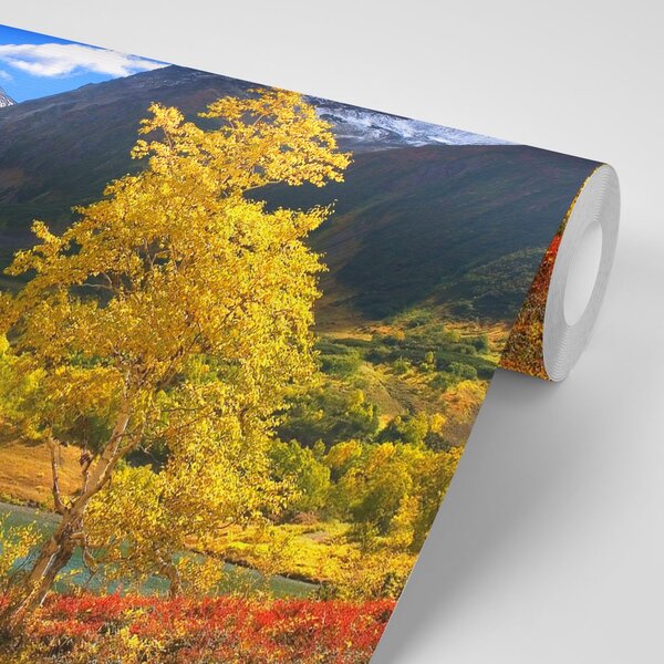Fototapeta prekrasna priroda na Kamčatki