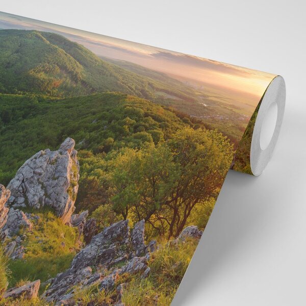 Fototapeta priroda obasjana suncem