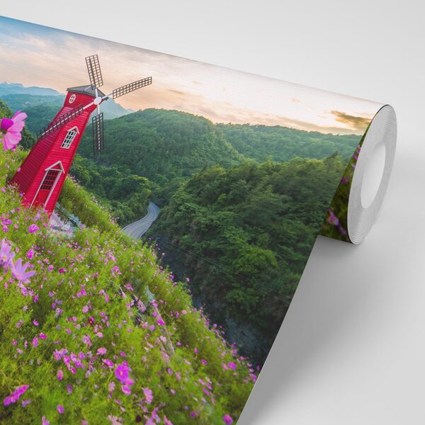 Fototapeta livada kraj čarobnog mlina