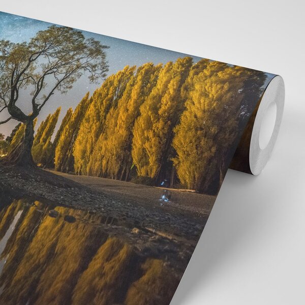 Fototapeta stablo ispod zvjezdanog neba