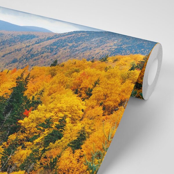 Fototapeta pogled na majestetične planine