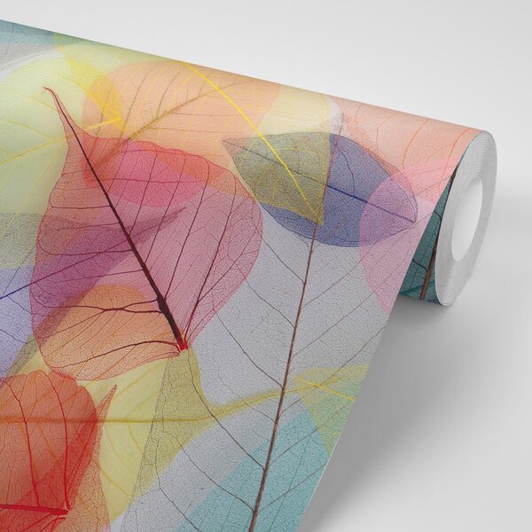 Tapeta žile na šarenim listovima