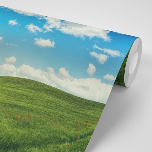 Fototapeta prekrasni dan na livadi
