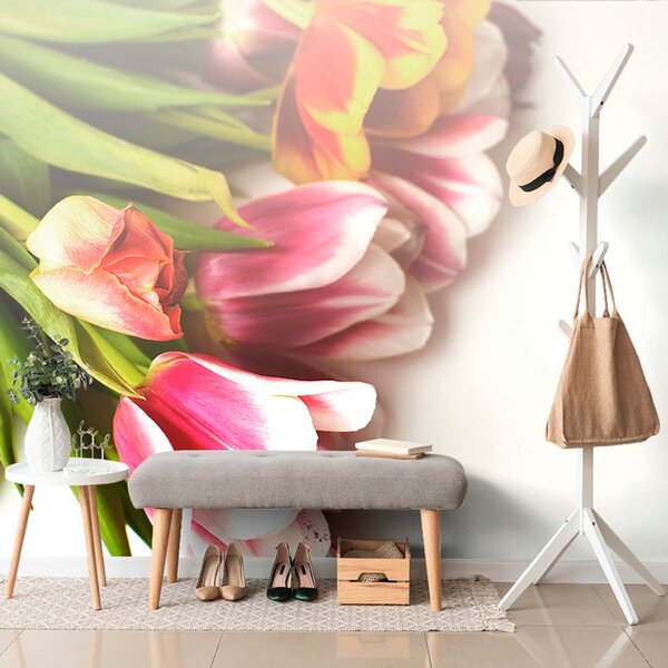 Fototapeta buket tulipana