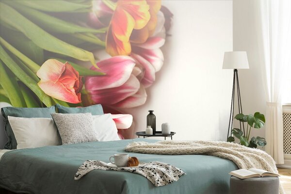 Fototapeta buket tulipana