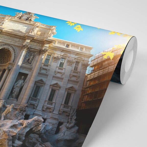 Fototapeta Fontana di Trevi u Rimu