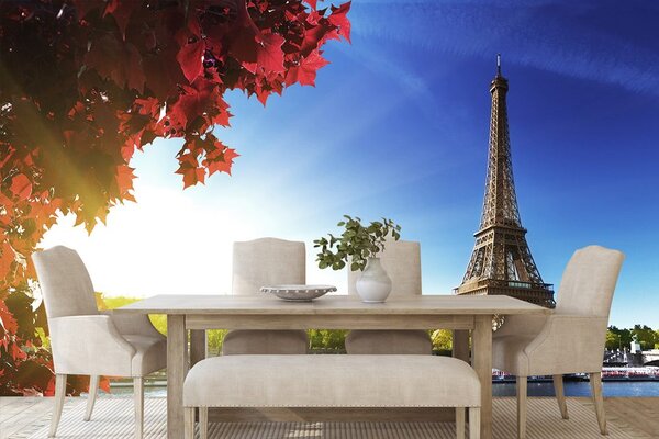 Fototapeta Pariz u jesen