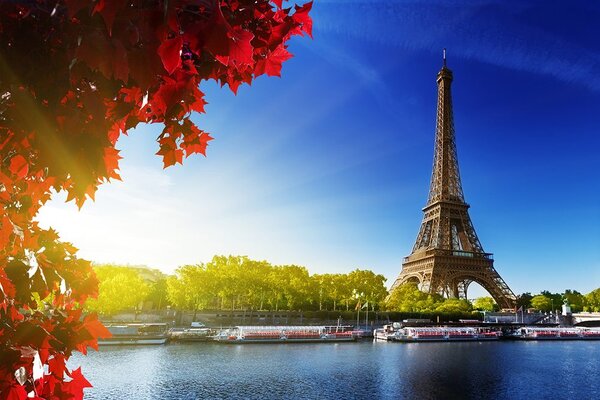Fototapeta Pariz u jesen