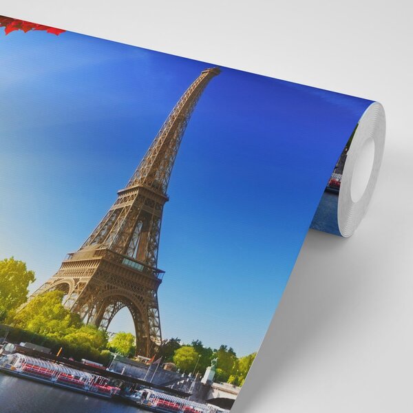 Fototapeta Pariz u jesen