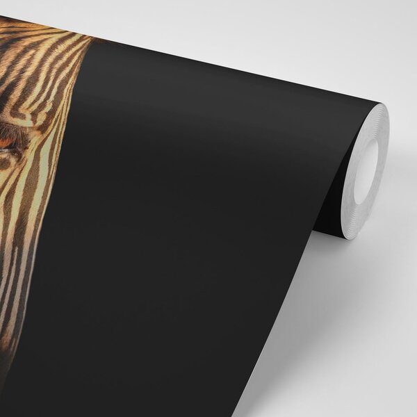 Fototapeta portret zebre
