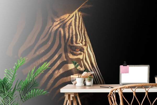 Fototapeta portret zebre