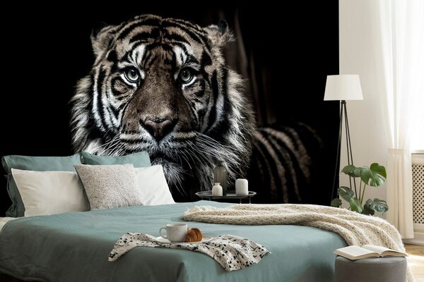 Fototapeta tigar